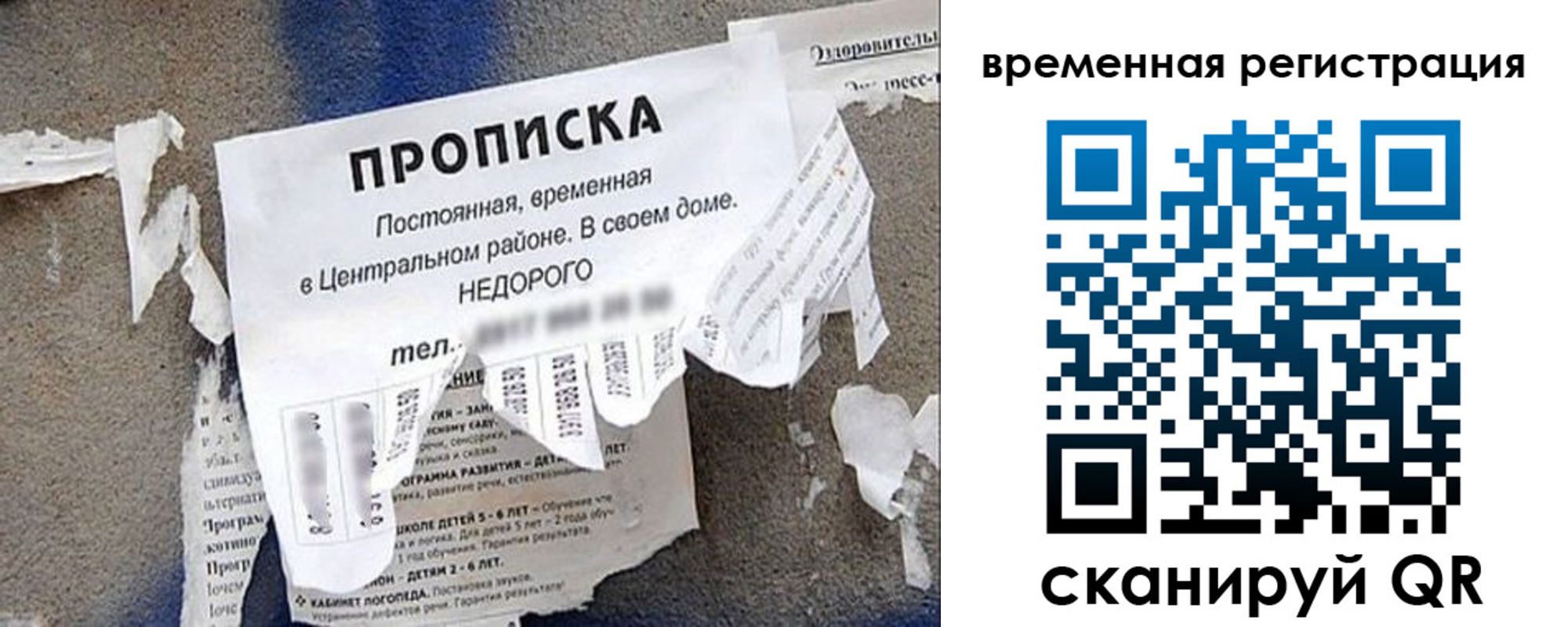 прописка от собственника в Курской области
