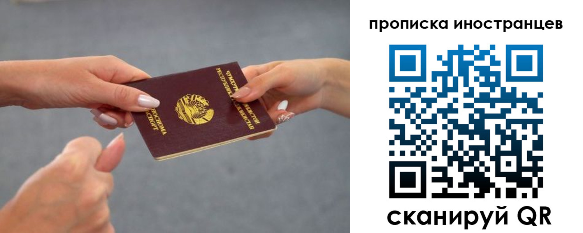 где прописаться в Курской области