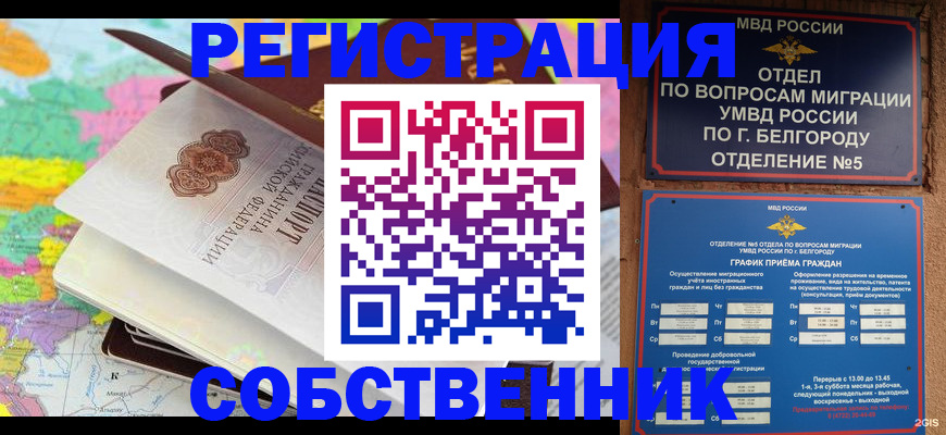 временная регистрация гарантия в Курской области